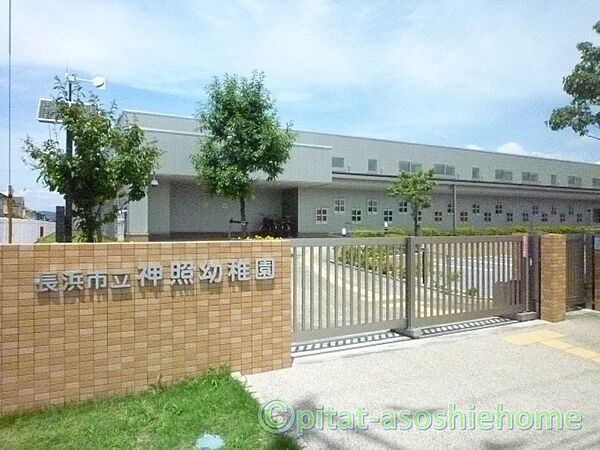 幼稚園、保育園「長浜市立神照幼稚園まで737m」