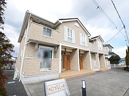 サンプラシード