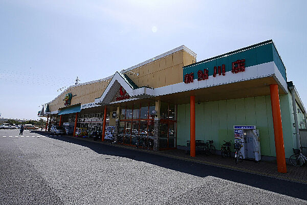 画像21:サンユーストアー 新鮎川店（528m）