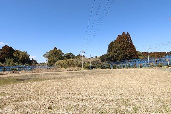 敷地西側から東方向