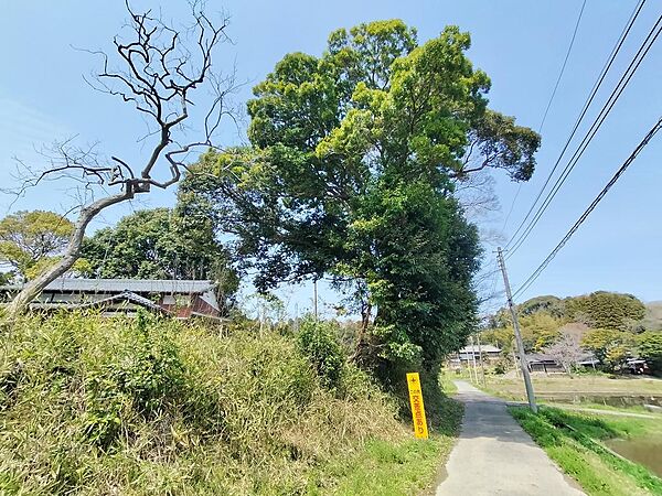 接道