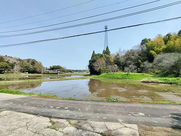 前面公道