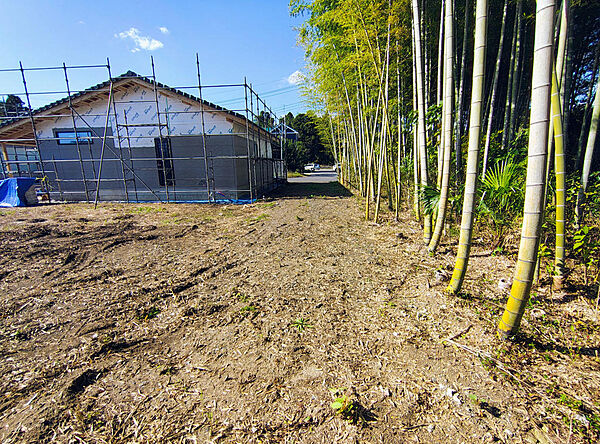 敷地側から見た北側の進入路。