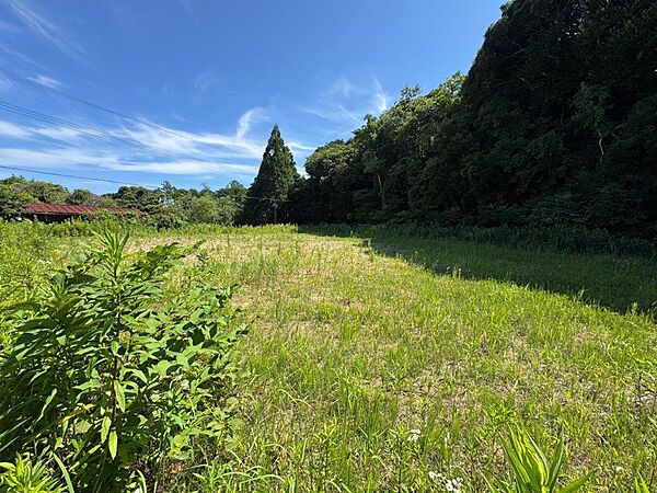 敷地北東側より南西方向