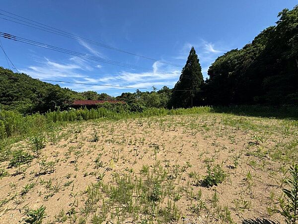 敷地北側から南方向