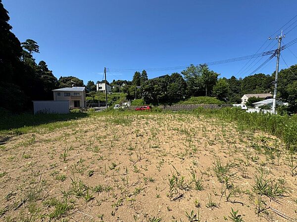 敷地南側から北方向