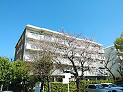 桶川駅より徒歩7分 築41年 5階建の賃貸物件