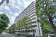 若葉駅より徒歩13分 築46年 11階建の賃貸物件