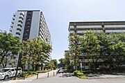 航空公園駅より徒歩2分 築40年10ヶ月 14階建の賃貸物件