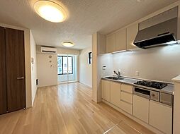 カンフル 102 1階1LDKのリビング/ダイニング