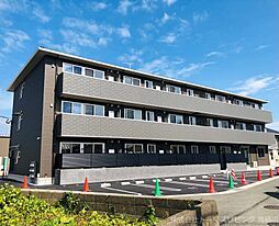 グレイスペアランス 303