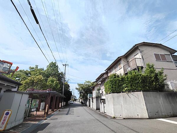 前面道路(西側)