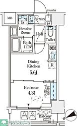 ベルファース八丁堀Ｗｅｓｔ 6階1DKの間取り