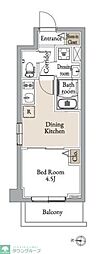 グランカーサ住吉III 1DKの間取図画像