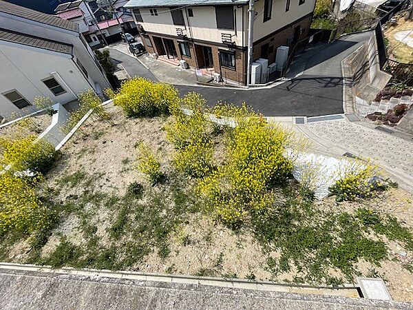 現地（2026年3月）撮影　　　6区画のショット