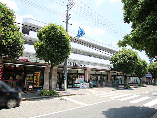フレスコ桜井店（500m）