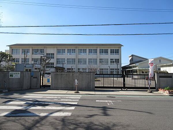 【小学校】堺市立白鷺小学校まで605ｍ
