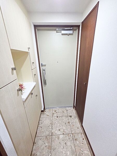 収納力のある大きめシューズボックス付きで散らかりがちな玄関もすっきり保てます