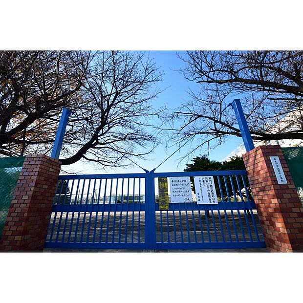 第七小学校