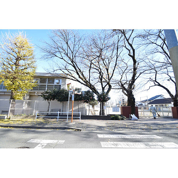 国立第七小学校