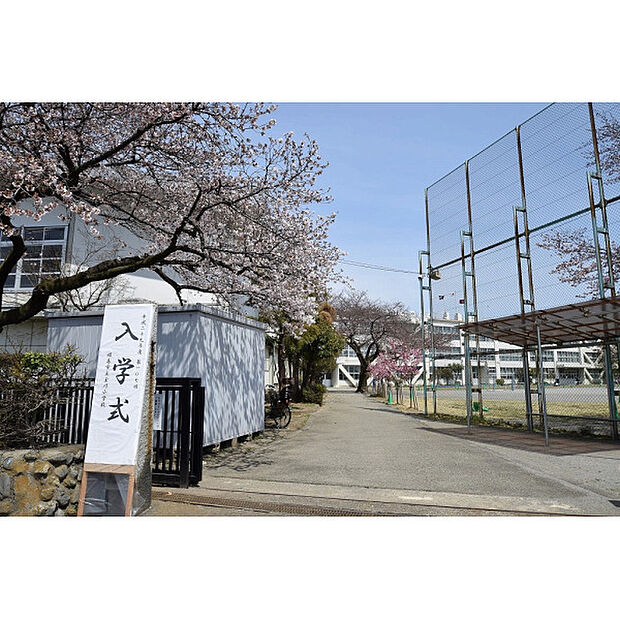玉川小学校