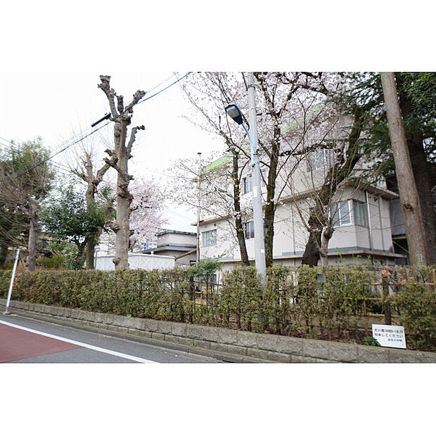 立川第五小学校