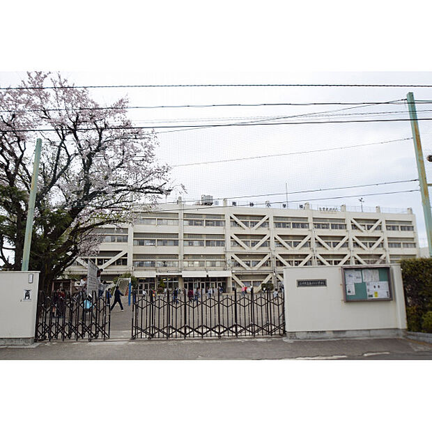 南砂小学校
