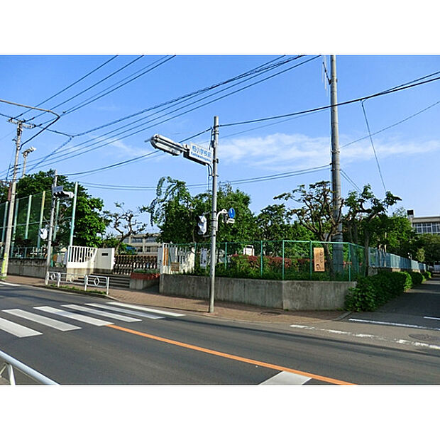 柏小学校