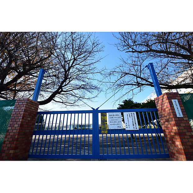 第七小学校