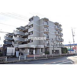 ビーグルマンション東大和