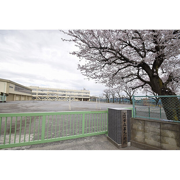 立川第九小学校