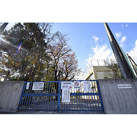 第八小学校