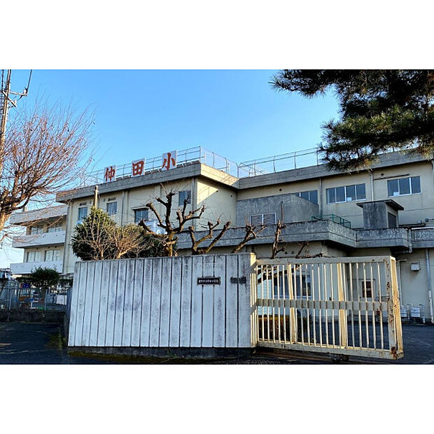 仲田小学校