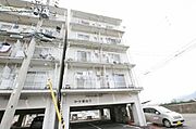 コート新北５ 3階 築37年8ヶ月の賃貸物件