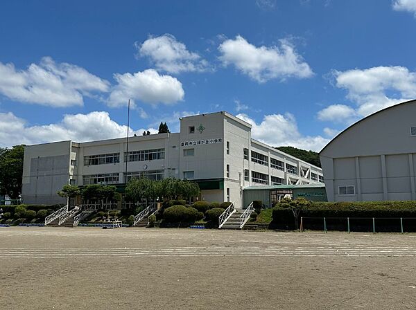 緑が丘小学校