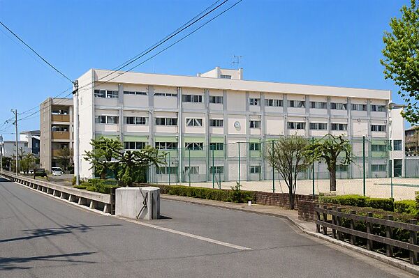 黒石野中学校
