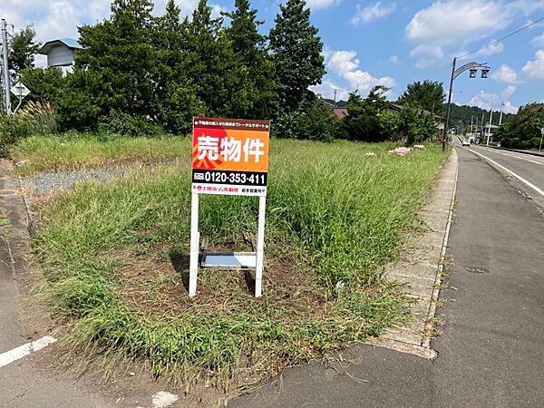 外観：303000009051