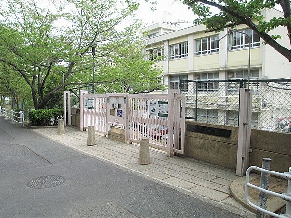 神戸市立西舞子小学校 約520ｍ