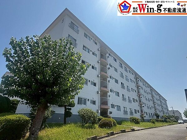 外観：328000669411