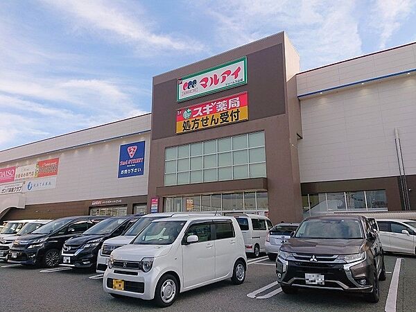 マルアイジェームス山 約80ｍ