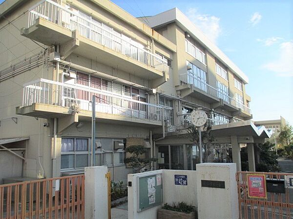 神戸市立東舞子小学校 約3000ｍ