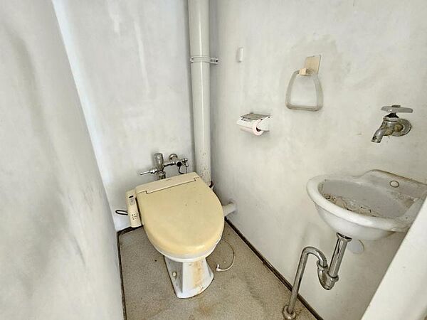 トイレにはうれしい手洗いカウンター付き