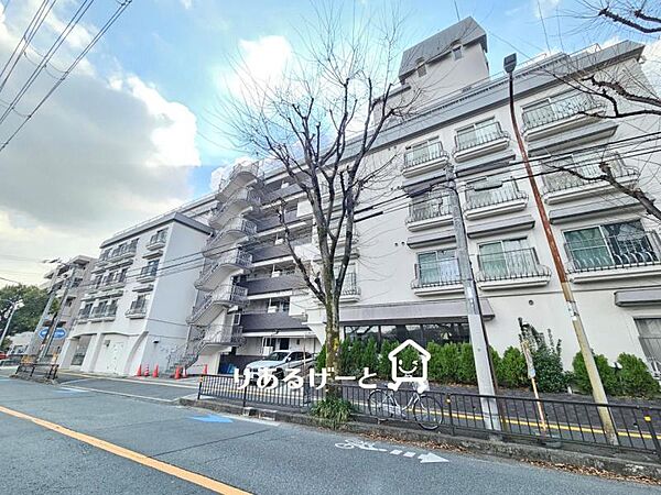 外観：327002169024