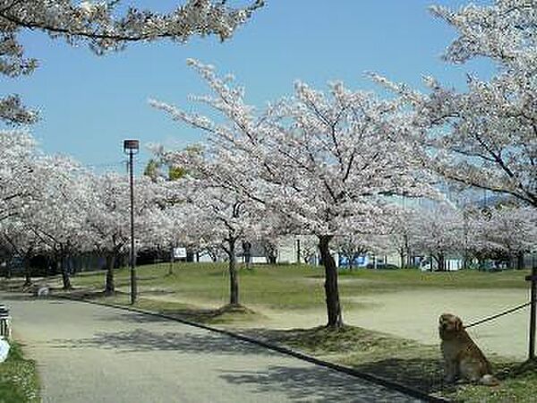 吉原北公園