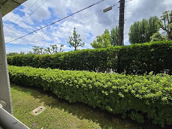 緑が目隠しになって、外からの視線も気になりません！