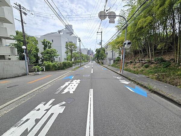 前面道路は閑静な住宅地の車通りの少ない道路です。