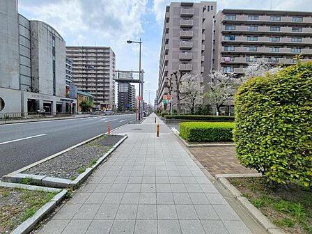 遊歩道も整備された前面道路で安全です