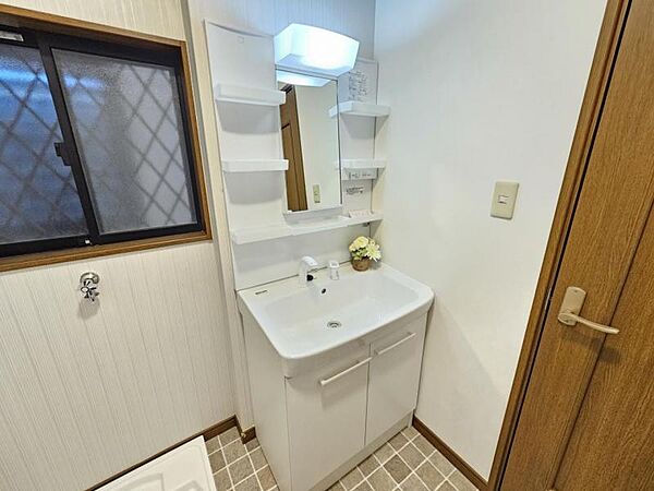 2枚扉タイプのベーシックな収納の洗面台！バケツなどの大きな物も楽に収納できます。