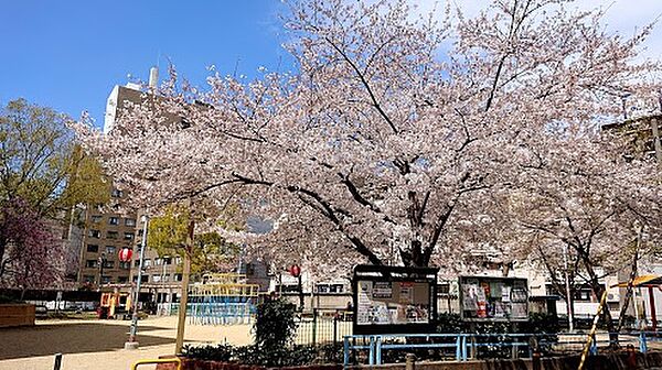 山口本町公園