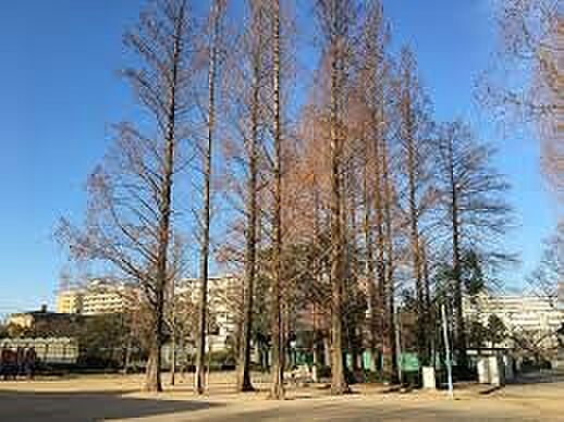 旭公園